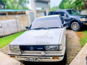 Nissan Trad Sunny 1984 Car (Used)