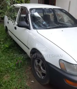 Toyota Corolla Elephant Back 1994 Car (Used)