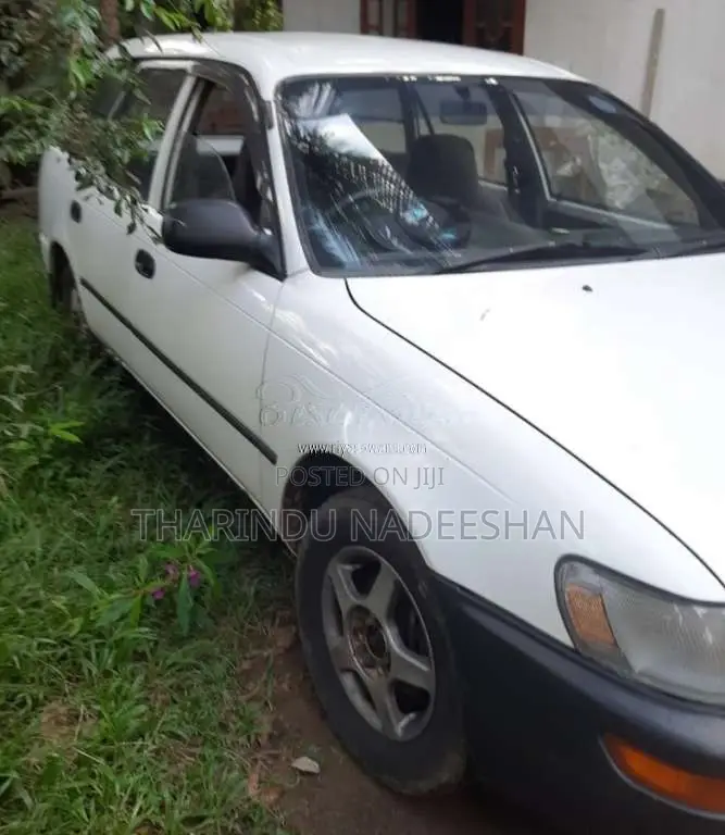 Toyota Corolla Elephant Back 1994 Car (Used)