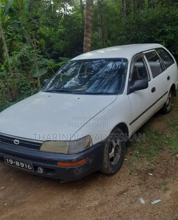 Toyota Corolla Elephant Back 1994 Car (Used)