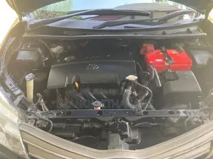 Toyota Axio 2013 Car (Used)