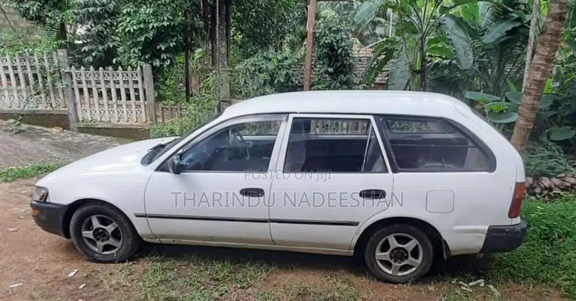 Toyota Corolla Elephant Back 1994 Car (Used)