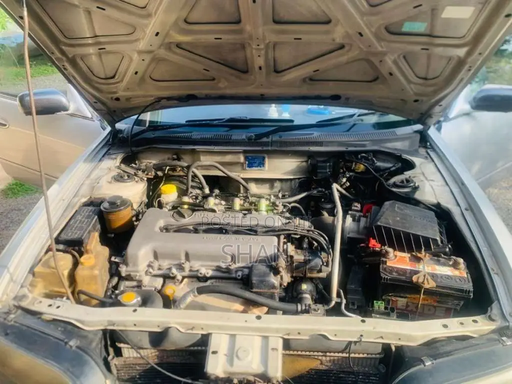 Nissan Presea 1996 Car (Used)
