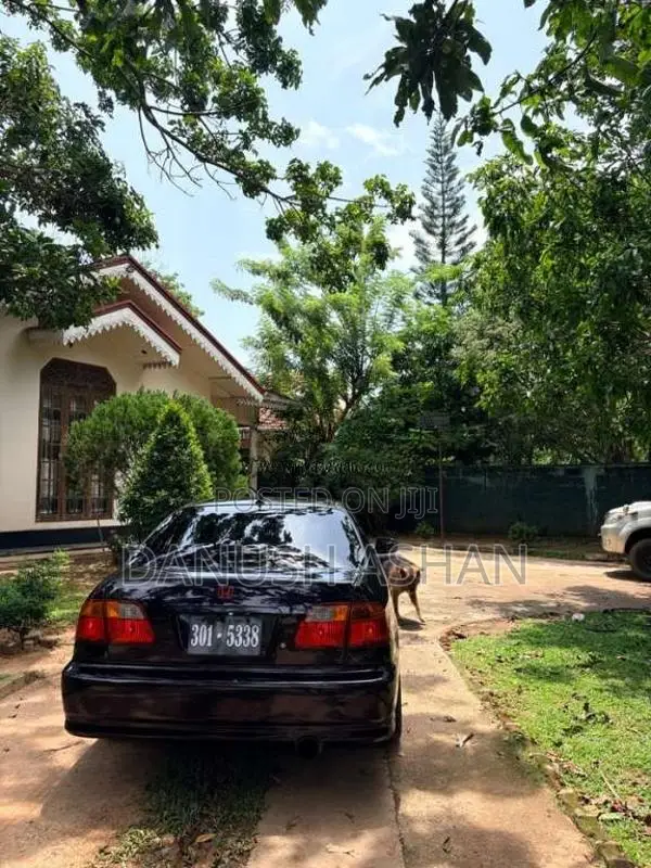 Honda Civic 1996 Car (Used)