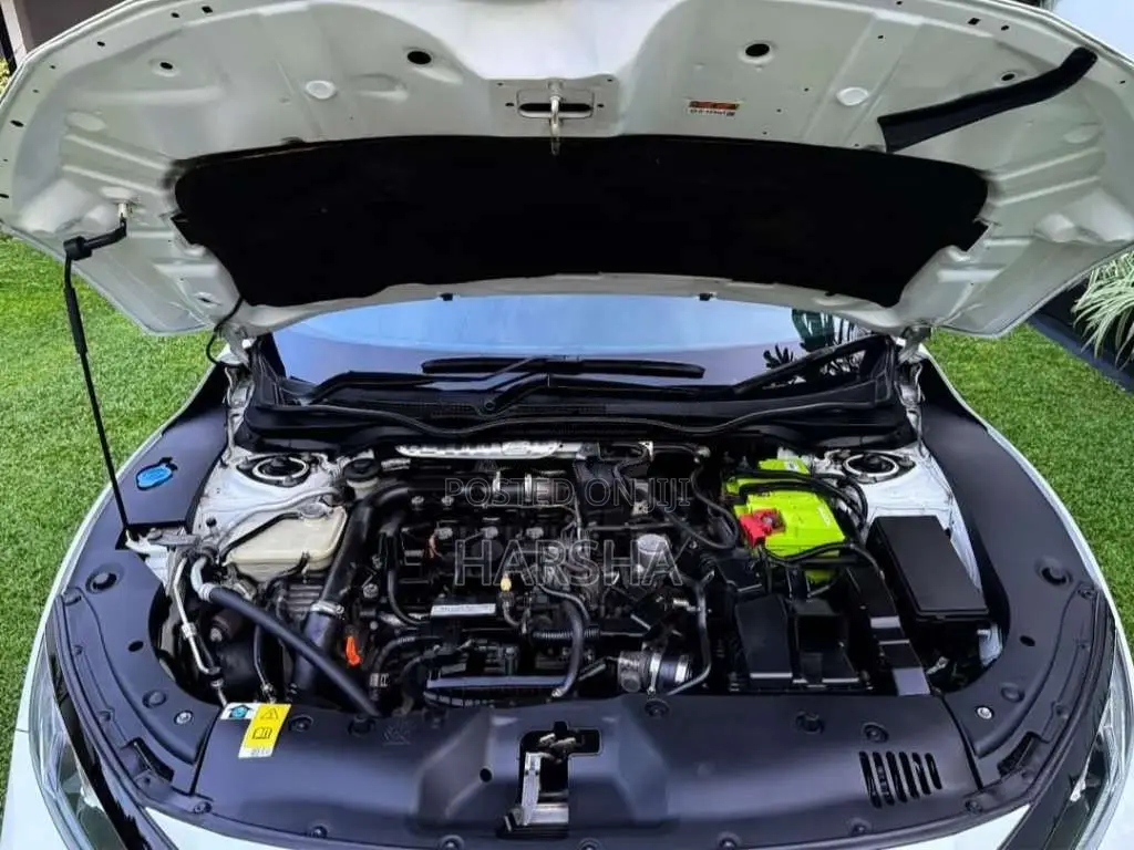 Honda Civic 2017 Car (Used)