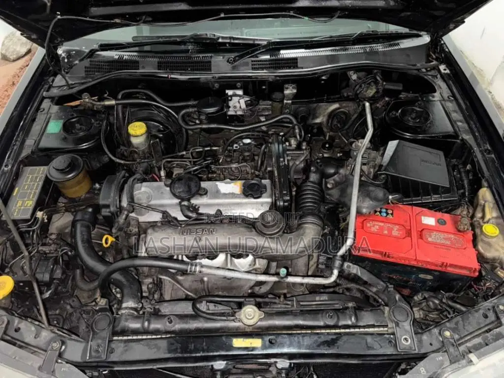 Nissan Bluebird 1999 Car (Used)