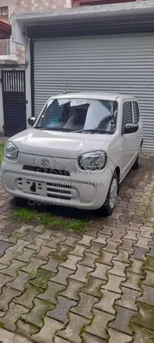 Suzuki Alto 2024 Car (Used)