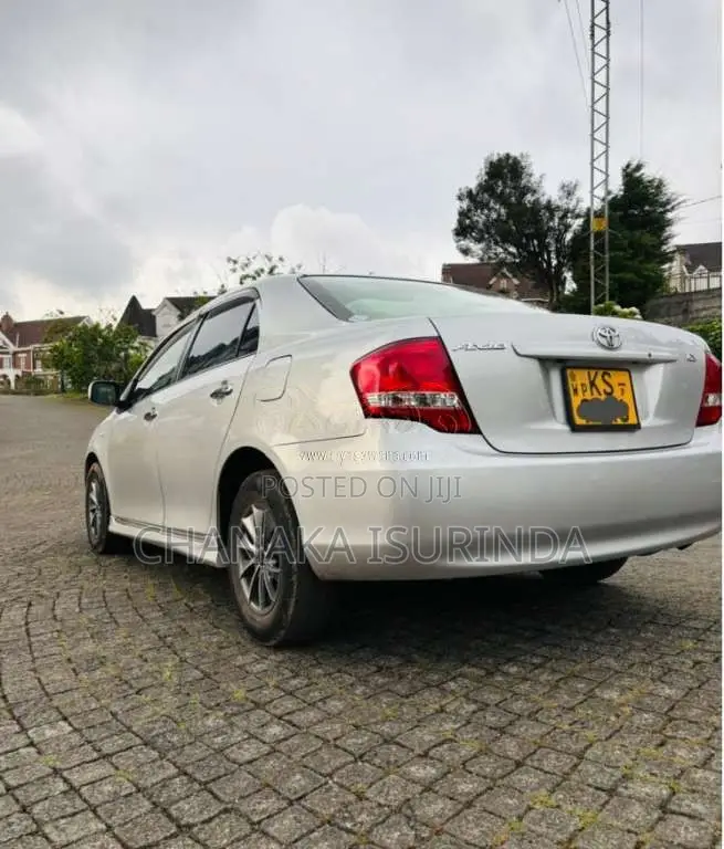 Toyota Axio 2010 Car (Used)