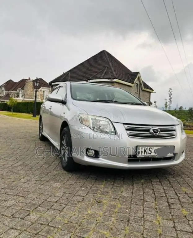 Toyota Axio 2010 Car (Used)