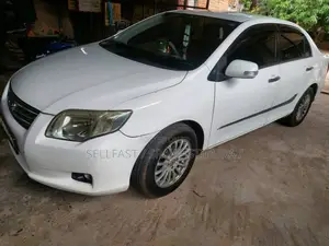 Toyota Axio G Grade 2010 Car (Used)