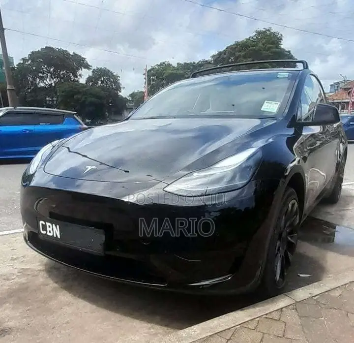 Tesla Model Y 2024 Car (Used)