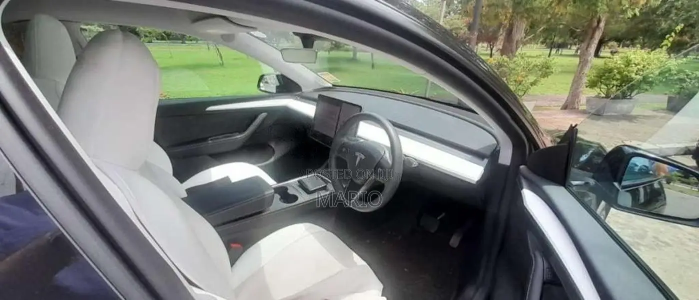 Tesla Model Y 2024 Car (Used)