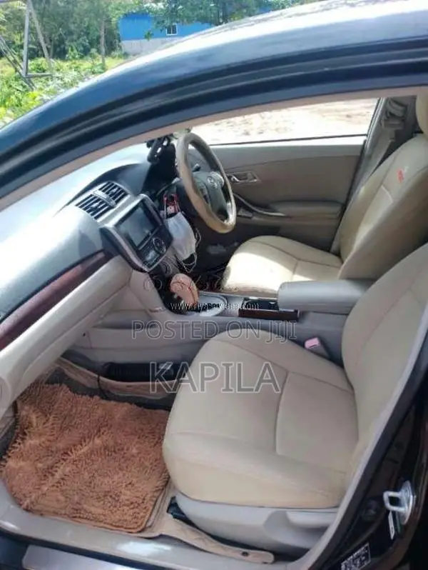 Toyota Premio 260 G Superior 2010 Car (Used)