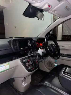 Toyota Passo 2019 Car (Used)