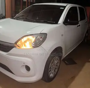 Toyota Passo 2019 Car (Used)