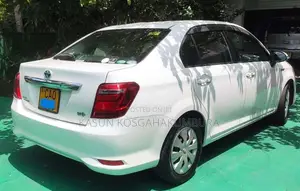 Toyota Axio 165 2015 Car (Used)