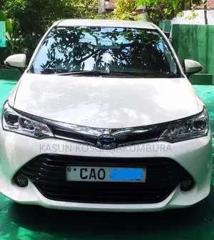 Toyota Axio 165 2015 Car (Used)