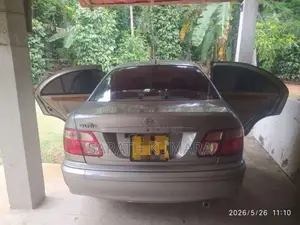 Nissan Bluebird 2004 Car (Used)