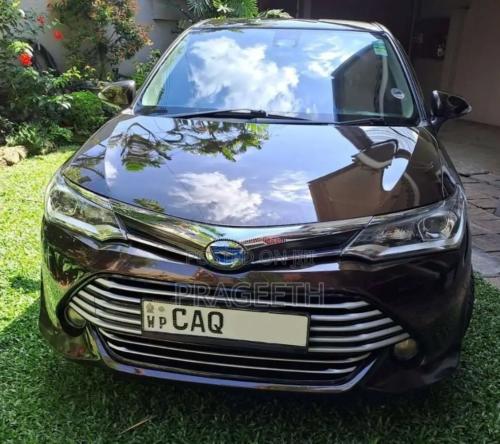 Toyota Axio G Grade 2015 Car (Used)