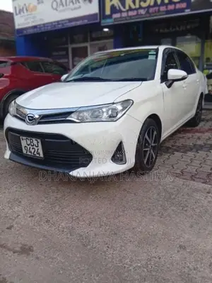 Toyota Axio 2017 Car (Used)