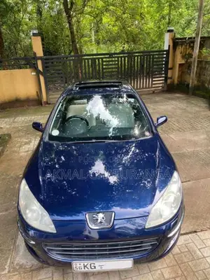 Peugeot 407 2006 Car (Used)