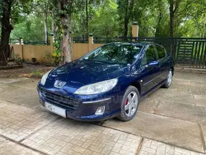 Peugeot 407 2006 Car (Used)