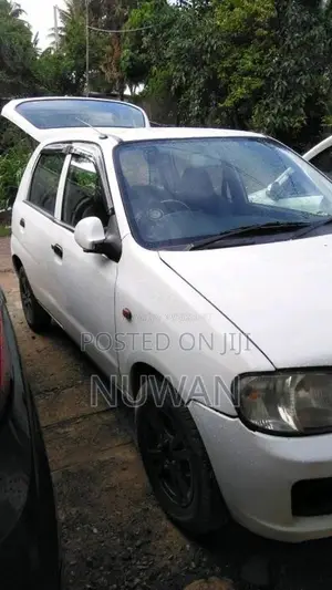 Suzuki Alto 2010 Car (Used)