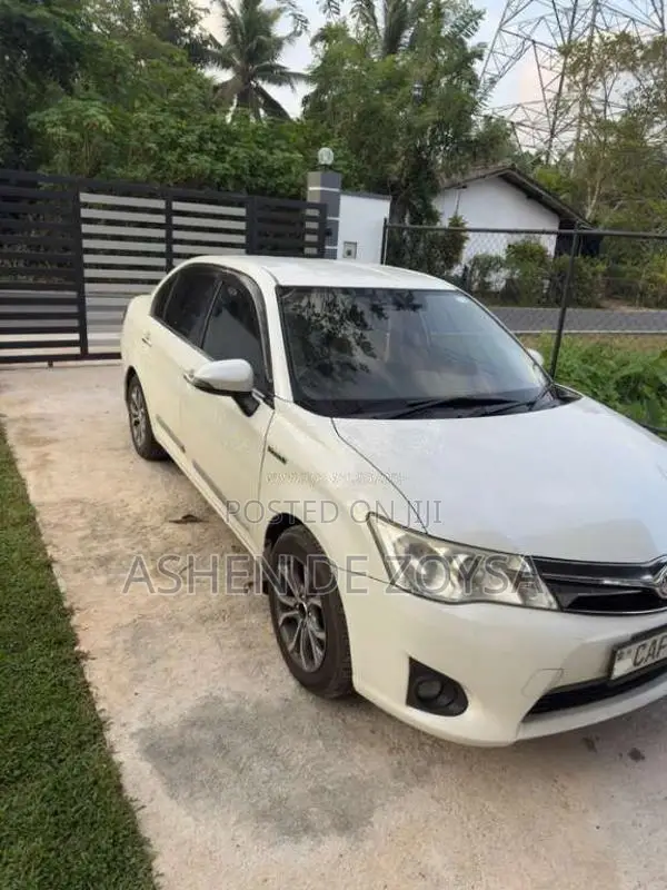 Toyota Axio 2015 Car (Used)