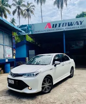 Toyota Axio WXB 2017 Car (Used)