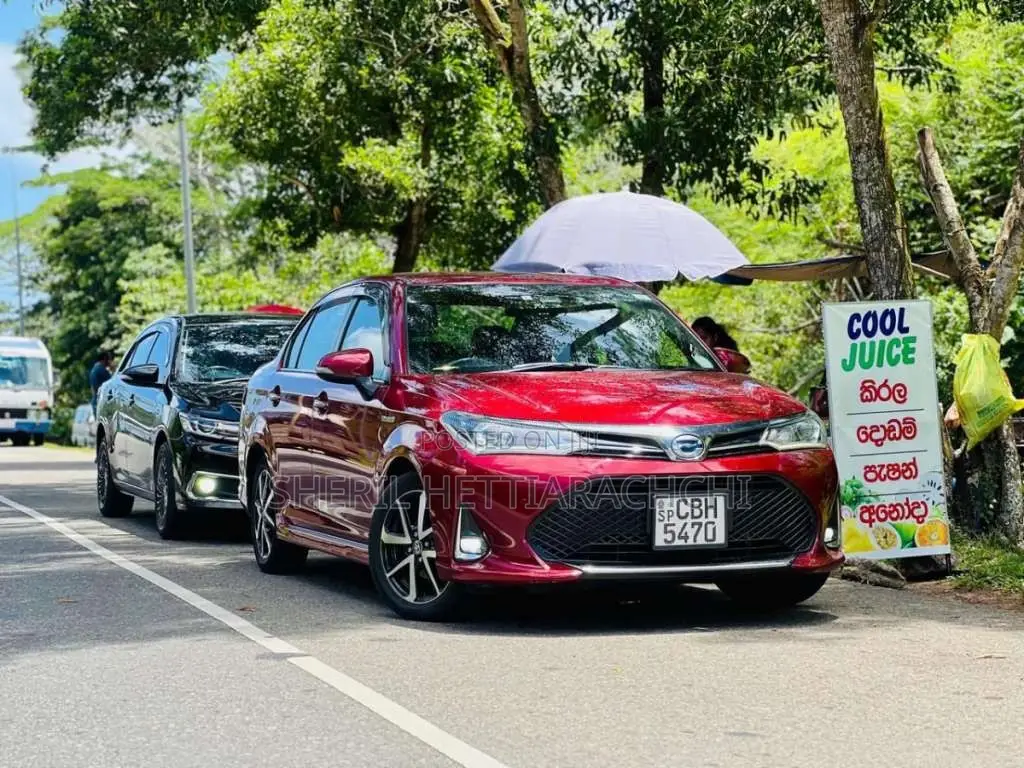 Toyota Axio WXB 2019 Car (Used)