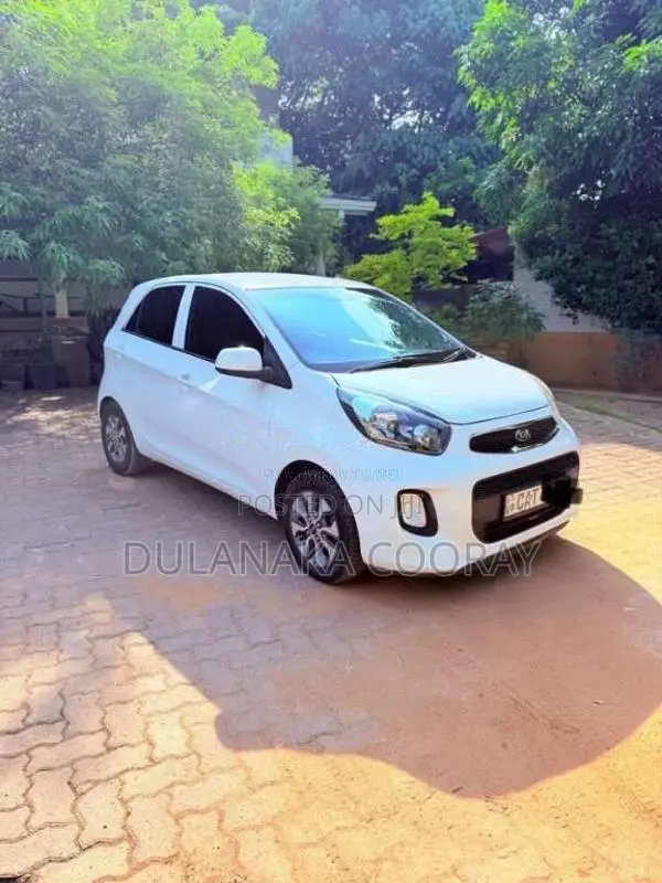 Kia Picanto 2016 Car (Used)