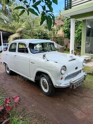 Austin A50 1980 Car (Used)