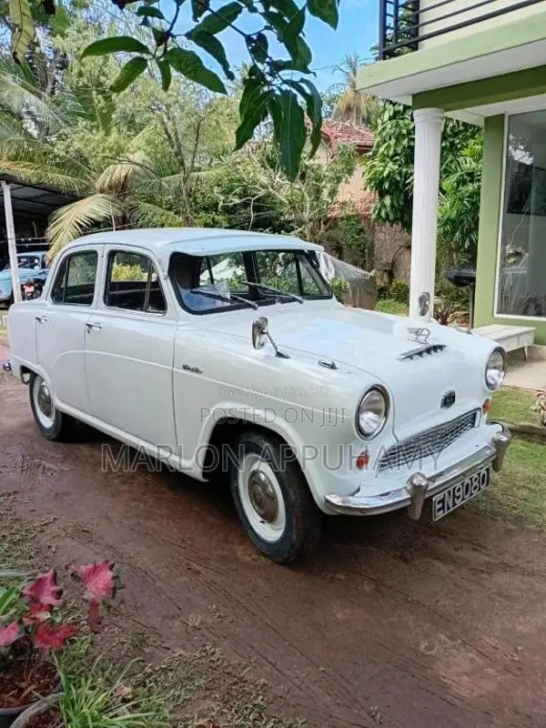 Austin A50 1980 Car (Used)