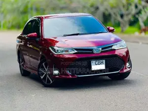 Toyota Axio WXB 2019 Car (Used)