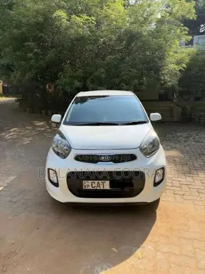 Kia Picanto 2016 Car (Used)