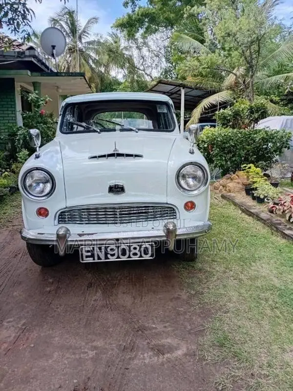 Austin A50 1980 Car (Used)