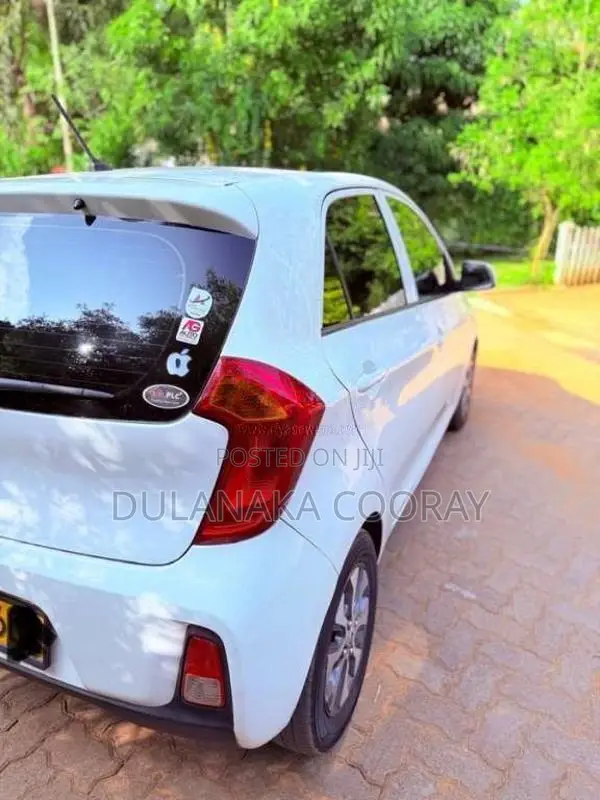 Kia Picanto 2016 Car (Used)