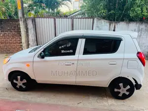 Suzuki Alto 2015 Car (Used)