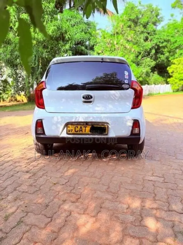 Kia Picanto 2016 Car (Used)