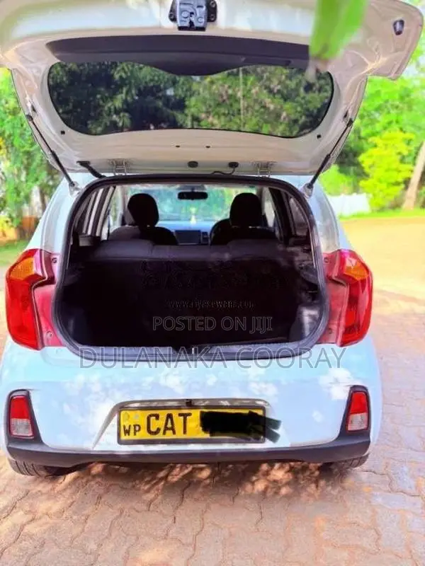 Kia Picanto 2016 Car (Used)