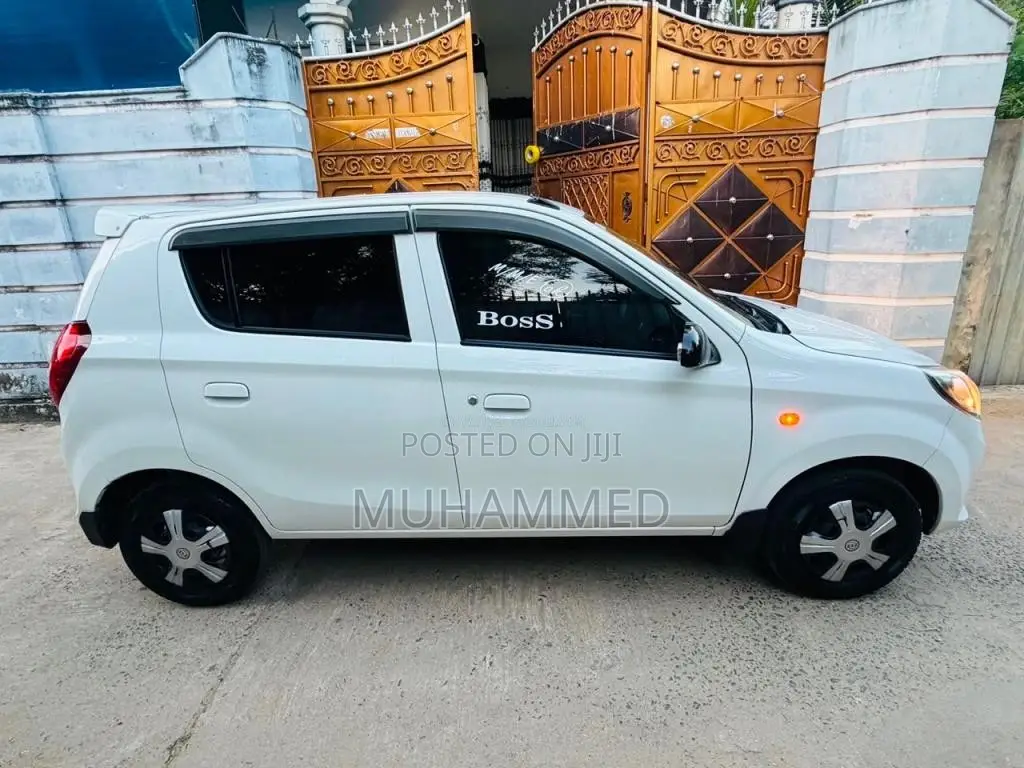Suzuki Alto 2015 Car (Used)