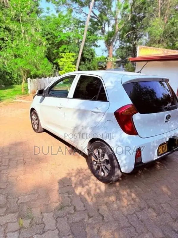 Kia Picanto 2016 Car (Used)