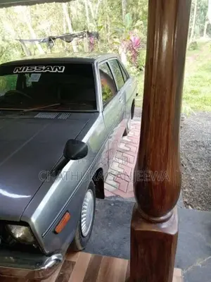 Nissan Sunny B310 1979 Car (Used)