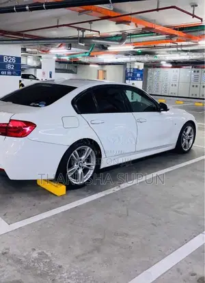 BMW 318i 2018 Car (Used)