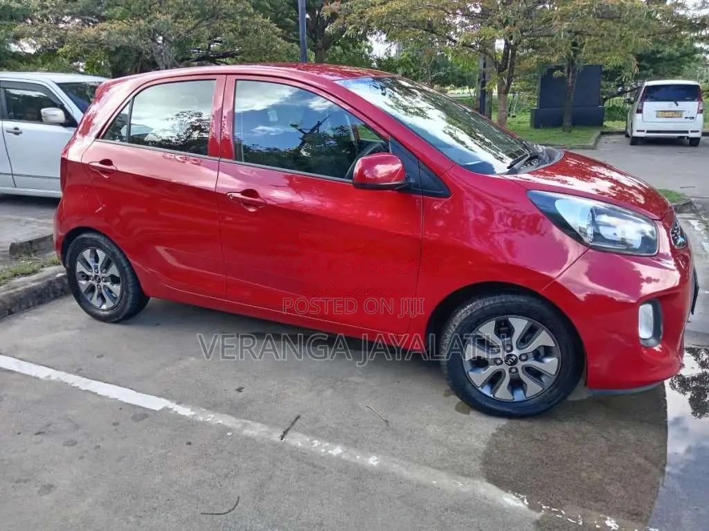 Kia Picanto 2016 Car (Used)