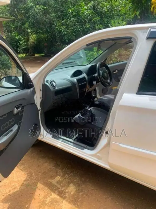 Suzuki Alto 2015 Car (Used)