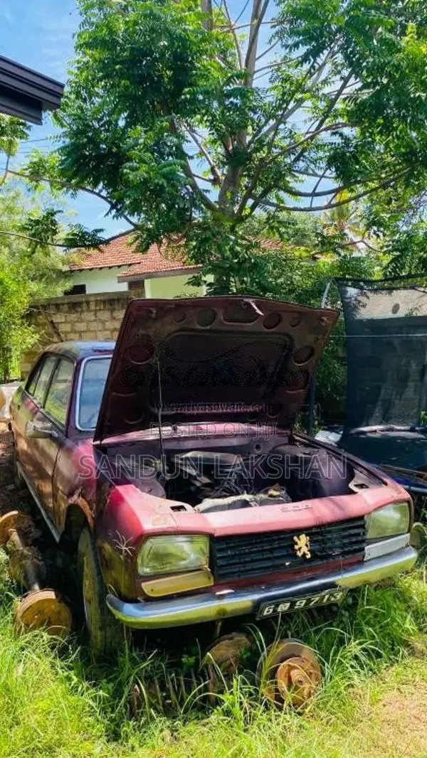 Peugeot 504 1980 Car (Used)