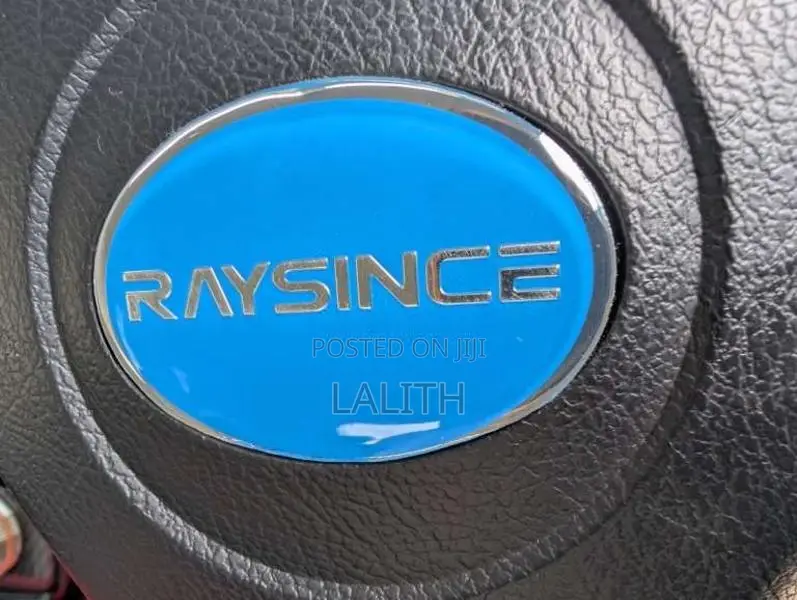 Suzuki RAYSIENCE 2025 Car (Used)