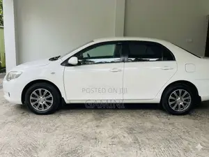 Toyota Axio G Grade 2008 Car (Used)
