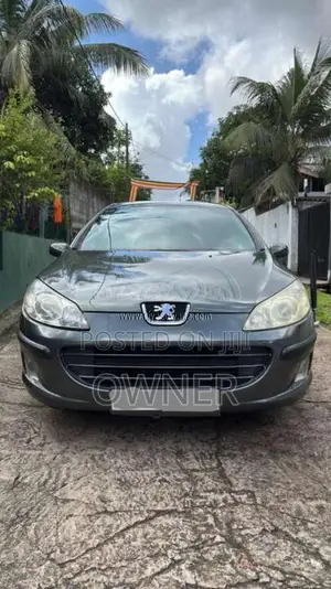 Peugeot 407 2007 Car (Used)